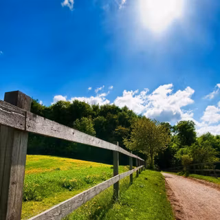 4k summer day wallpaper