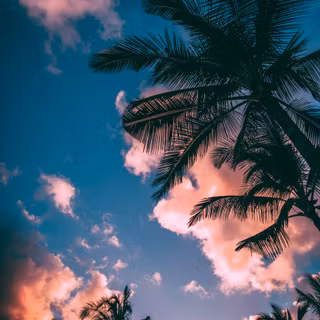 4k summer day wallpaper