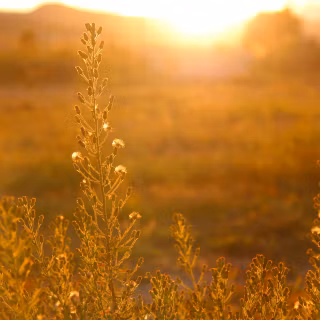 4k summer day wallpaper