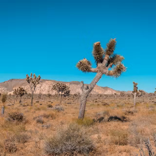 4k summer day wallpaper