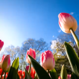 4k summer day wallpaper