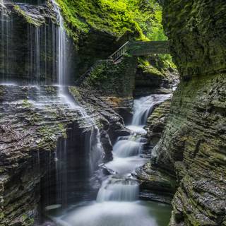 8k nature spring wallpaper