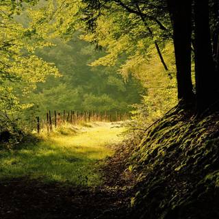 4k summer day wallpaper