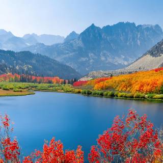 8k nature spring wallpaper