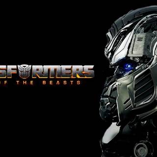 Transformers Rise of The Beast 2023 wallpaper