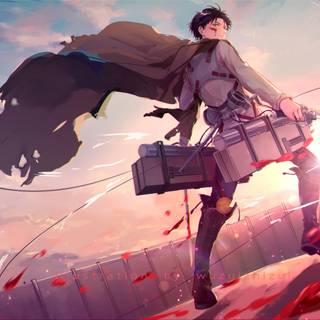 Captain Levi desktop wallpaper