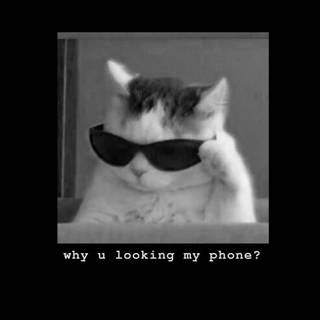 What are you looking at wallpaper