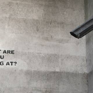 What are you looking at wallpaper