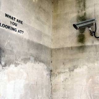 What are you looking at wallpaper