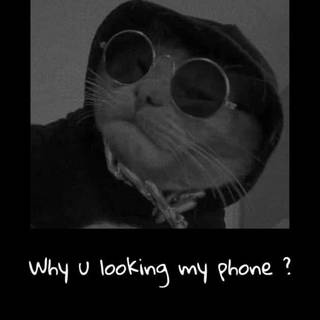 What are you looking at wallpaper