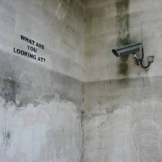 What are you looking at wallpaper