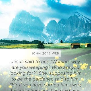 What are you looking at wallpaper