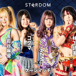 World Wonder Ring Stardom wallpaper