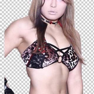 World Wonder Ring Stardom wallpaper