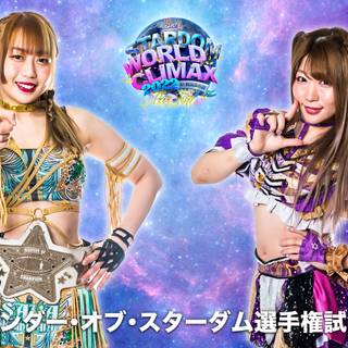 World Wonder Ring Stardom wallpaper