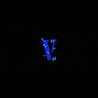 Black aesthetic Vlone wallpaper