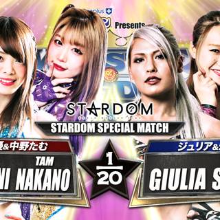 World Wonder Ring Stardom wallpaper