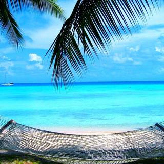 Blue summer computer wallpaper