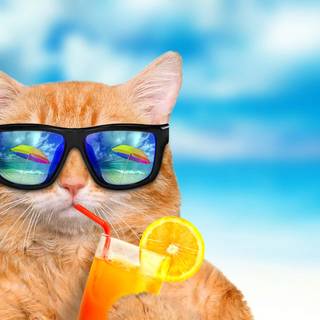 Blue summer computer wallpaper