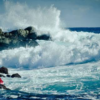 Teen summer computer wallpaper