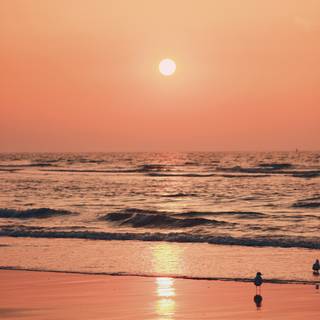 Summer beach sunrise wallpaper