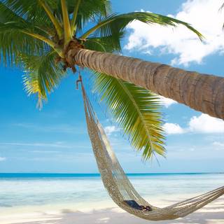 Blue summer computer wallpaper