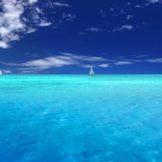 Blue summer computer wallpaper