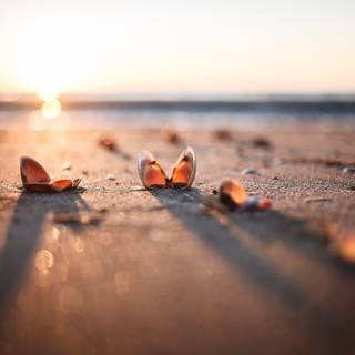 Summer beach sunrise wallpaper