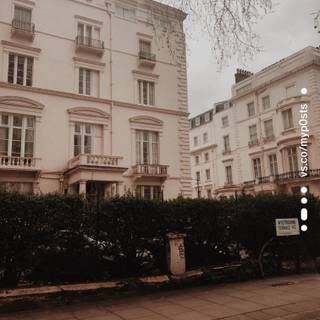 Summer light academia wallpaper