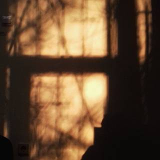 Summer light academia wallpaper