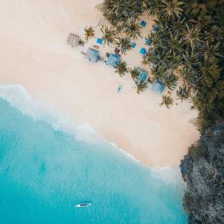 Blue summer iPhone wallpaper