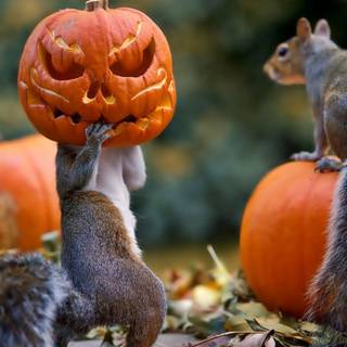 1280x720 Halloween wallpaper