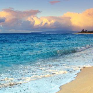 1920x1080 HD summer wallpaper