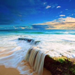 Summer Windows wallpaper