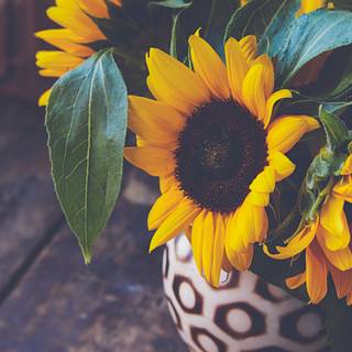 Cool summer phone wallpaper