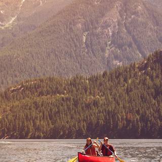 Camp summer wallpaper