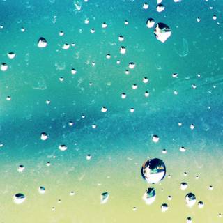 Rainy spring 4k wallpaper