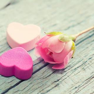 Computer lover 4k wallpaper