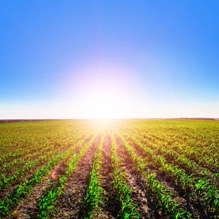 Sunny day 4k wallpaper