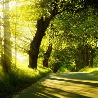 Sunny day 4k wallpaper