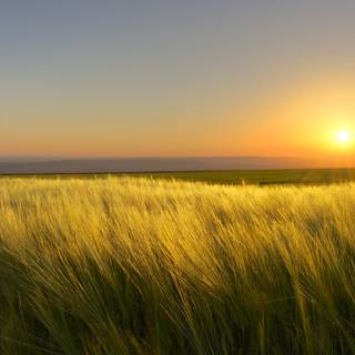 Sunny day 4k wallpaper