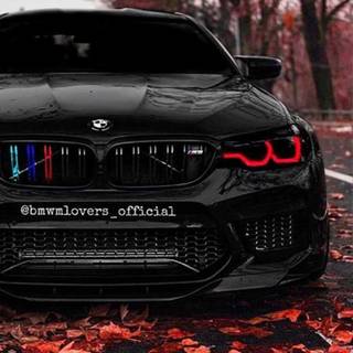 BMW iPhone 4k wallpaper