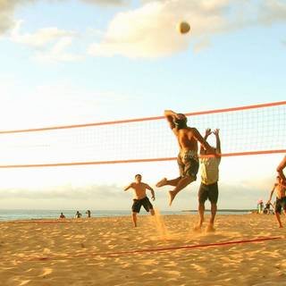 Volleyball summer wallpaper