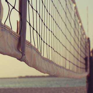 Volleyball summer wallpaper