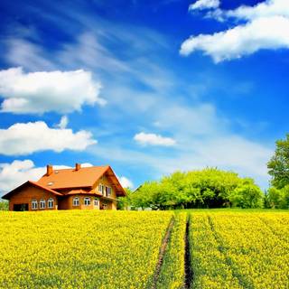 Sunny day 4k wallpaper