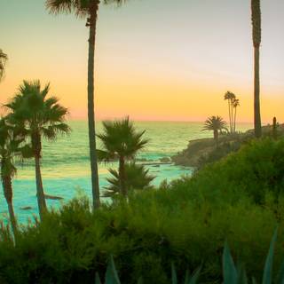 Ocean summer VSCO wallpaper