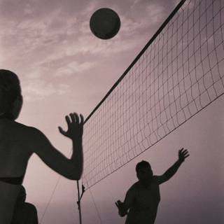 Volleyball summer wallpaper