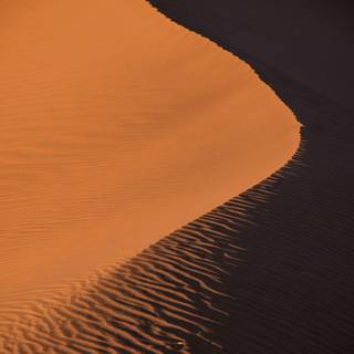 Dunes 4k wallpaper