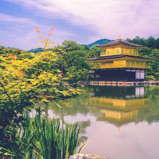 Oriental 4k wallpaper