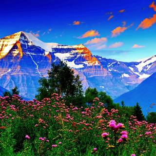 Nature mountain spring wallpaper